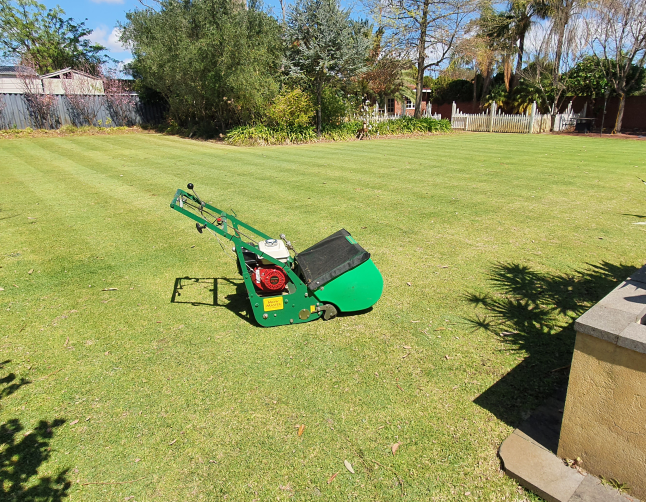 lawn mowing nedlands