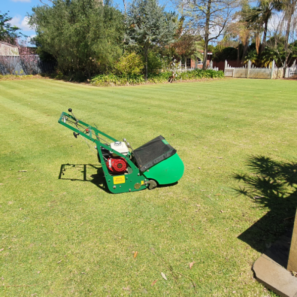 lawn mowing nedlands